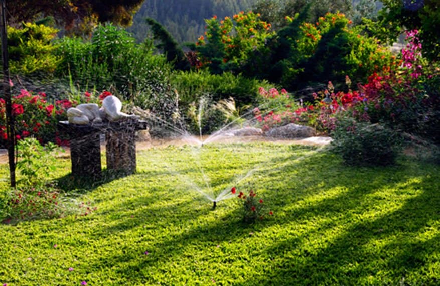 backyard sprinkler providers
