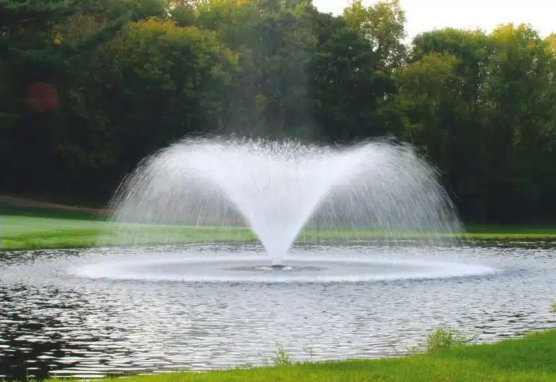 FLOATING FOUNTAINS