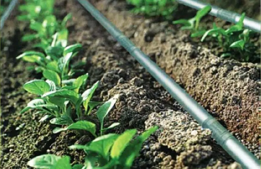 DRIP IRRIGATION SYSTEM