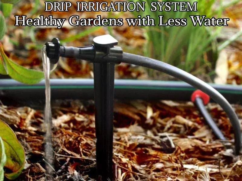 DRIP IRRIGATION SYSTEM