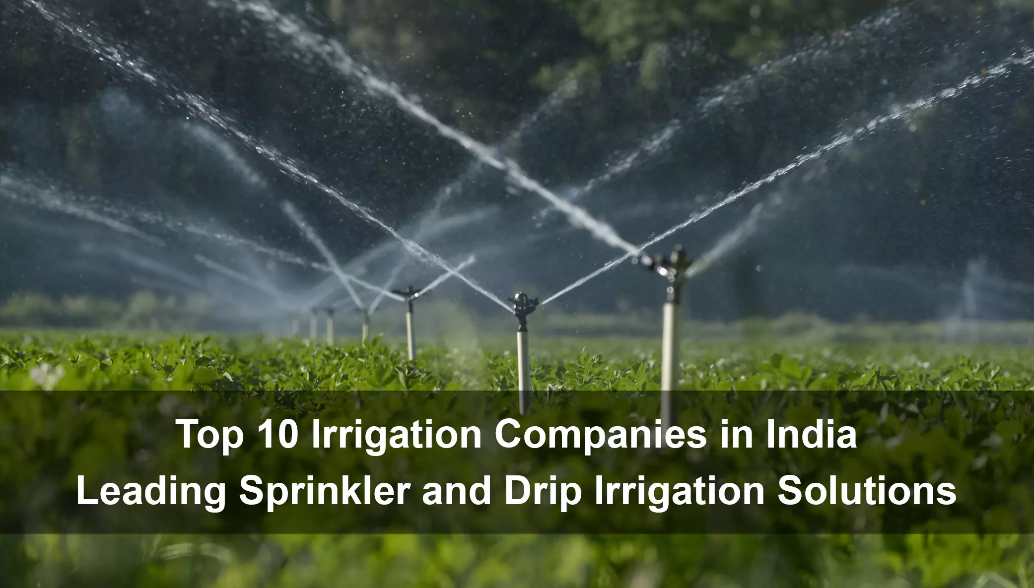 Top 10 Irrigation Companies in India – Leading Sprinkler and Drip Irrigation Solutions